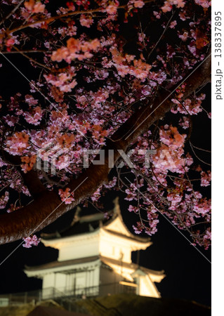 宇都宮市城址公園の「夜桜」 宇都宮市城址公園の「夜桜」 138337895