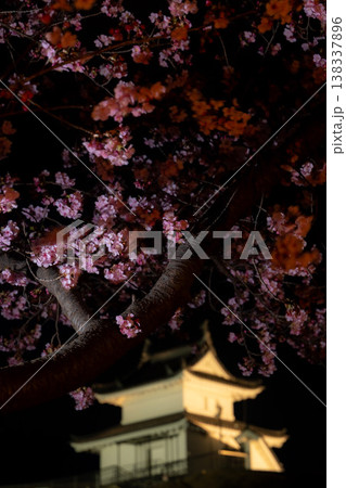 宇都宮市城址公園の「夜桜」 宇都宮市城址公園の「夜桜」 138337896