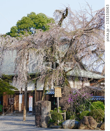 春爛漫満開な枝垂桜ある風景 138338063