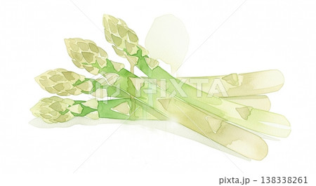 みずみずしく新鮮なアスパラガスの淡い水彩イラスト 柔らかいタッチのナチュラル野菜素材 みずみずしく新鮮なアスパラガスの淡い水彩イラスト 柔らかいタッチのナチュラル野菜素材 138338261