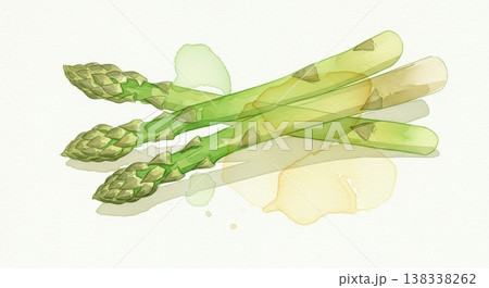 みずみずしく新鮮なアスパラガスの淡い水彩イラスト 柔らかいタッチのナチュラル野菜素材 みずみずしく新鮮なアスパラガスの淡い水彩イラスト 柔らかいタッチのナチュラル野菜素材 138338262