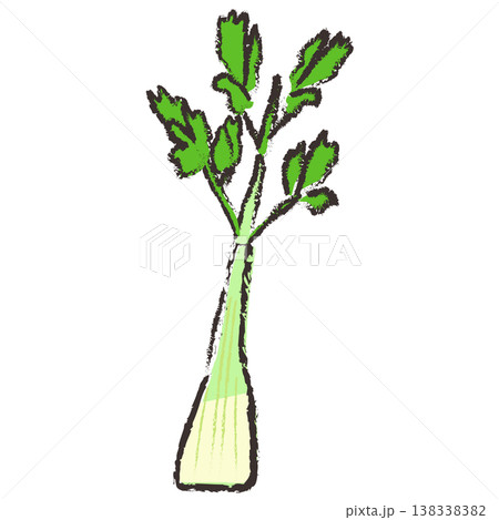 セロリのイラスト セロリのイラスト 138338382