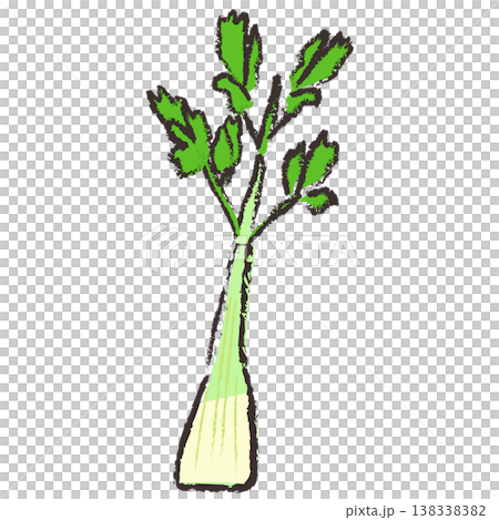 セロリのイラスト セロリのイラスト 138338382