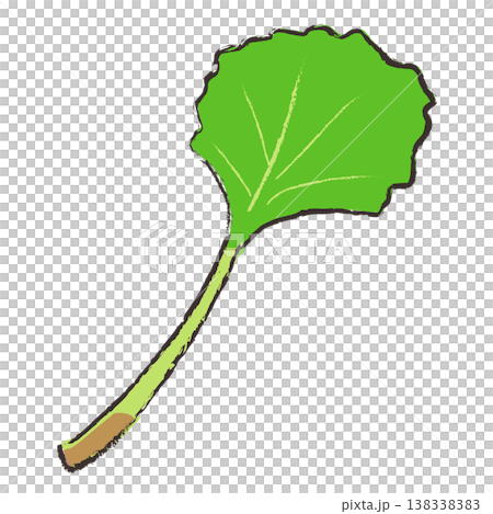 Illustration of butterbur 138338383