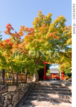 Stone steps toward traditional shrine with red torii gate framed by colorful autumn trees under clear blue sky in serene setting. Stone steps toward traditional shrine with red torii gate framed by colorful autumn trees under clear blue sky in serene setting. 138338763