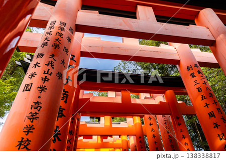 Leading vermilion torii gates forming ascending pathway through forest at Fushimi Inari Taisha in Kyoto Japan under soft daylight, Kyoto, Japan Leading vermilion torii gates forming ascending pathway through forest at Fushimi Inari Taisha in Kyoto Japan under soft daylight, Kyoto, Japan 138338817