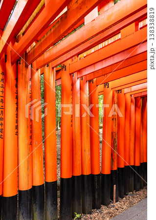 Fushimi Inari Taisha Torii Path. Repeated red columns and stone steps surrounded by dense greenery in iconic Shinto shrine complex Kyoto, Japan Fushimi Inari Taisha Torii Path. Repeated red columns and stone steps surrounded by dense greenery in iconic Shinto shrine complex Kyoto, Japan 138338819