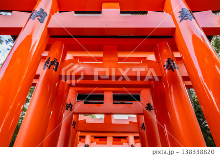 Leading vermilion torii gates forming ascending pathway through forest at Fushimi Inari Taisha in Kyoto Japan under soft daylight, Kyoto, Japan 138338820