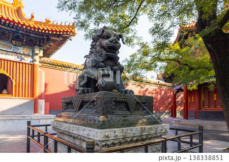 Bronze guardian lion sculpture on pedestal near traditional ornate temple building, red walls golden roofs tree shade in Lama Temple Beijing on sunny day, Beijing, China 138338851