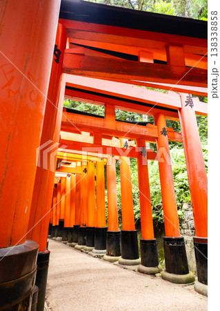 Fushimi Inari Taisha Torii Path. Repeated red columns and stone steps surrounded by dense greenery in iconic Shinto shrine complex Kyoto, Japan Fushimi Inari Taisha Torii Path. Repeated red columns and stone steps surrounded by dense greenery in iconic Shinto shrine complex Kyoto, Japan 138338858