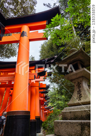 Fushimi Inari Taisha Torii Path. Repeated red columns and stone steps surrounded by dense greenery in iconic Shinto shrine complex Kyoto, Japan Fushimi Inari Taisha Torii Path. Repeated red columns and stone steps surrounded by dense greenery in iconic Shinto shrine complex Kyoto, Japan 138338859