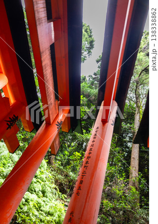 Leading vermilion torii gates forming ascending pathway through forest at Fushimi Inari Taisha in Kyoto Japan under soft daylight, Kyoto, Japan Leading vermilion torii gates forming ascending pathway through forest at Fushimi Inari Taisha in Kyoto Japan under soft daylight, Kyoto, Japan 138338862