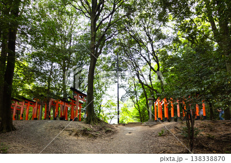 Fushimi Inari Taisha Torii Path. Repeated red columns and stone steps surrounded by dense greenery in iconic Shinto shrine complex Kyoto, Japan 138338870