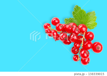 Red currants with green leaves on blue surface 138339015