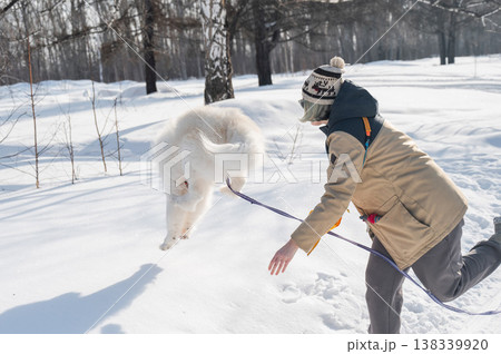 Young woman walking with fluffy samoyed dog in snowy winter park.  138339920