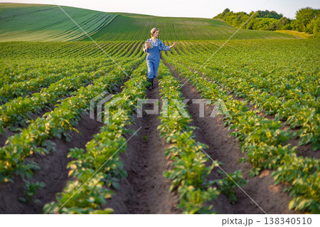 A woman in overalls walks through rows of young potato plants, holding a tablet and examining the crops in a vast agricultural landscape A woman in overalls walks through rows of young potato plants, holding a tablet and examining the crops in a vast agricultural landscape 138340510