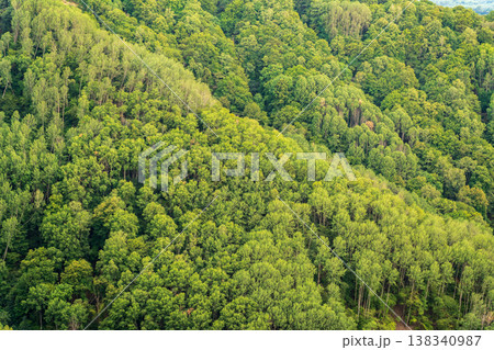 Summer Mountains Landscape with Green forest. 138340987