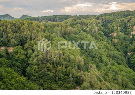 Summer Mountains Landscape with Green forest. 138340988