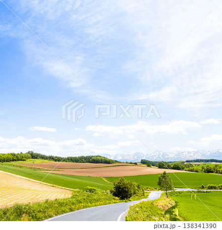 青空が広がる春の北海道美瑛町の爽やかな風景 138341390