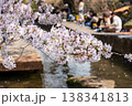 二ヶ領用水の桜祭り（川崎市多摩区）10 138341813