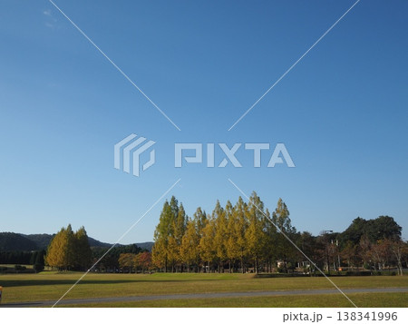 秋の高原 秋の高原 138341996