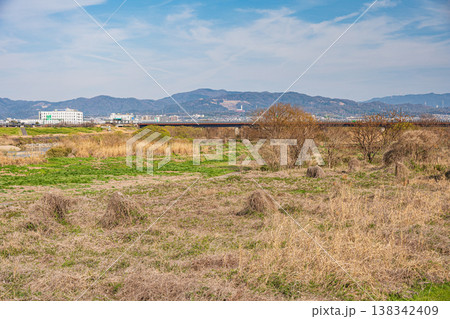木津川風景 京都府八幡市 木津川風景 京都府八幡市 138342409