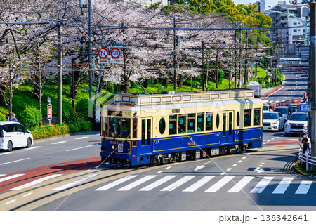 東京さくらトラム さくら号( 9002号車)と飛鳥山公園満開の桜 季節限定運行 東京さくらトラム さくら号( 9002号車)と飛鳥山公園満開の桜 季節限定運行 138342641