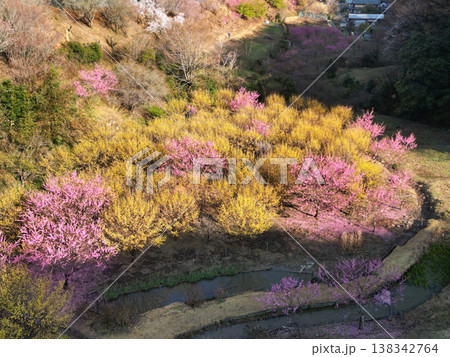 小川町桃源郷 小川町桃源郷 138342764