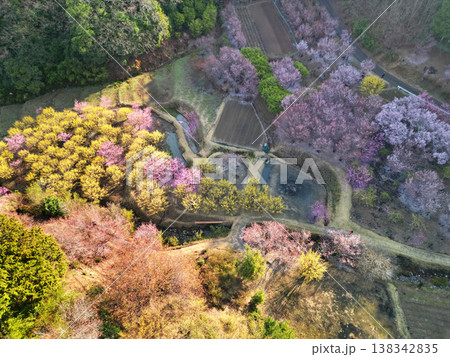 小川町桃源郷 小川町桃源郷 138342835