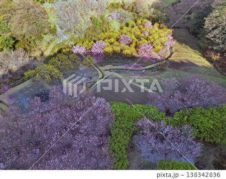 小川町桃源郷 小川町桃源郷 138342836