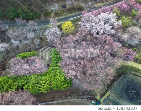 小川町桃源郷 小川町桃源郷 138342837