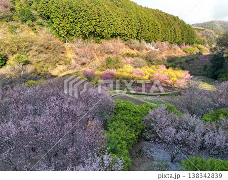 小川町桃源郷 小川町桃源郷 138342839