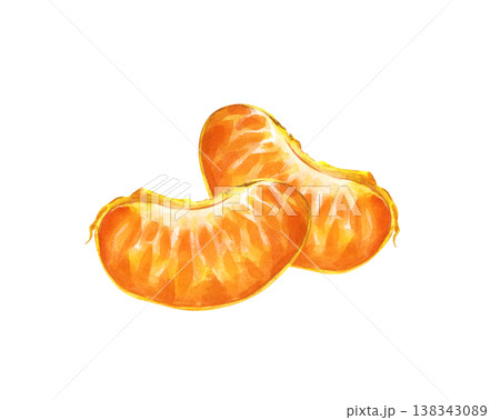 Two juicy tangerine slices are hand-drawn on an isolated background. Watercolor illustration of pieces of ripe fruit. Realistic clipart for the design of healthy food branding, organic juice labels 138343089