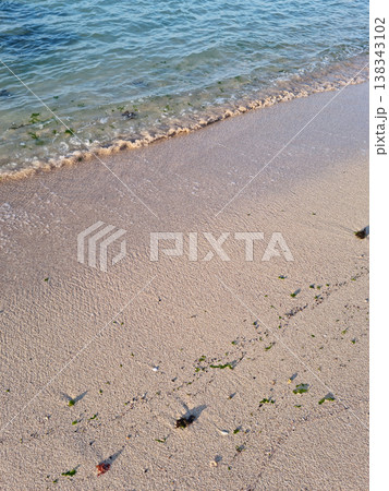 Coastal sandy beach and rushing sea water Coastal sandy beach and rushing sea water 138343102