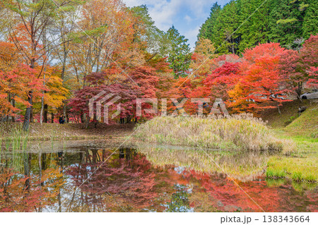 豊田市のタカドヤ湿地の風景(愛知県) 豊田市のタカドヤ湿地の風景(愛知県) 138343664