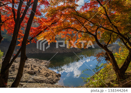 豊田市の三河湖の紅葉の風景(愛知県) 豊田市の三河湖の紅葉の風景(愛知県) 138344264