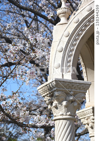 桜とオブジェ 138344269