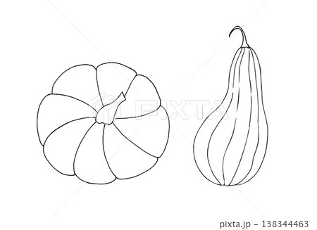 Vector set of pumpkins, graphic hand drawn isolated illustration. Halloween autumn vegetable perfect for harvest and thanksgiving themes. Isolated botanical illustration for seasonal food and farming Vector set of pumpkins, graphic hand drawn isolated illustration. Halloween autumn vegetable perfect for harvest and thanksgiving themes. Isolated botanical illustration for seasonal food and farming 138344463