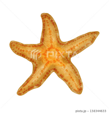 Watercolor hand drawn illustration of starfish. Nature oceac sea seashore life, summer vacation holiday getaway elements, marine life isolated marine invertebrates zoo animal. Watercolor hand drawn illustration of starfish. Nature oceac sea seashore life, summer vacation holiday getaway elements, marine life isolated marine invertebrates zoo animal. 138344633
