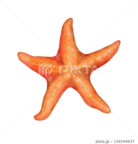 Watercolor hand drawn illustration of starfish. Nature oceac sea seashore life, summer vacation holiday getaway elements, marine life isolated marine invertebrates zoo animal. 138344637