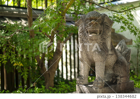 狛犬と新緑の神社風景 shrine guardian statue photo 138344682