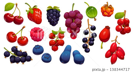 Cartoon berry set with juicy cherry, raspberry, strawberry and blueberry, barberry, black currant, gooseberry and grape, ripe rosehip, sea buckthorn, cloudberry. Vector summer berries 138344717