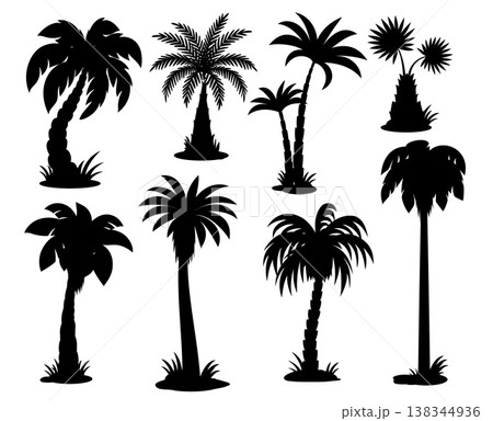 Tropical palm tree silhouettes. Coconut with curved trunks, fan palms with distinct broad leaves, date and royal, double coconut palms. Black silhouettes of beach resort palms Tropical palm tree silhouettes. Coconut with curved trunks, fan palms with distinct broad leaves, date and royal, double coconut palms. Black silhouettes of beach resort palms 138344936