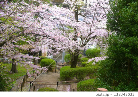 多摩川台公園 138345033