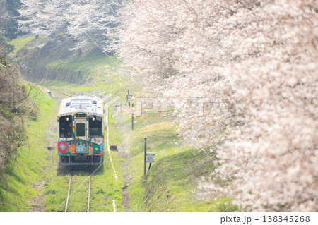 桜並木と「スーパーハッピー号」(平成筑豊鉄道) 桜並木と「スーパーハッピー号」(平成筑豊鉄道) 138345268