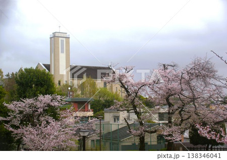 多摩川台公園と桜 138346041