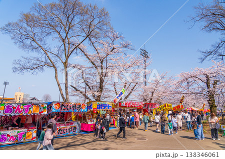 八王子市 桜祭り 富士森公園 八王子市 桜祭り 富士森公園 138346061