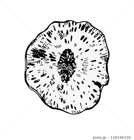 Vector illustration of a round coral or sponge fragment in black line art. Radial, organic texture with bold contours. Ideal for marine design, logos, prints, packaging or decorative graphics 138346330