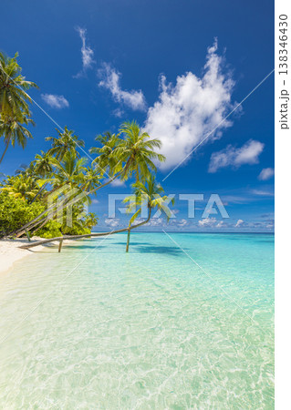 Perfect tropical island beach with blue ocean and sunny sky, idyllic summer vacation paradise vertical background design 138346430
