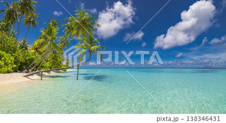 Fantastic tropical beach with azure ocean, sunny sky, and green palm trees, summer vacation landscape panoramic background 138346431